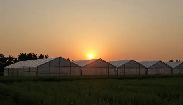 软件研发中常见处理方法的实际应用场景分析