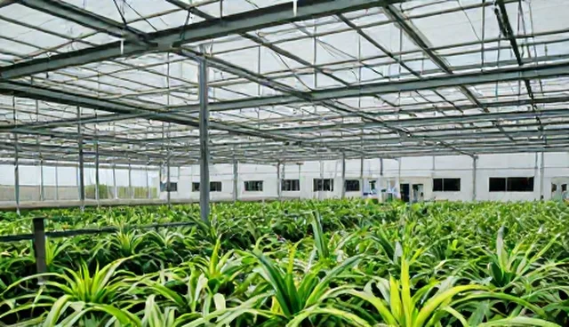 市场调研报告的适用条件比较与实际选择