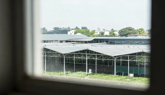 短视频内容同质化现象背后的原因分析