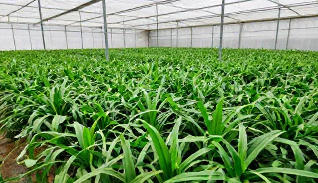 医疗误区排查：5大选型关注点解析