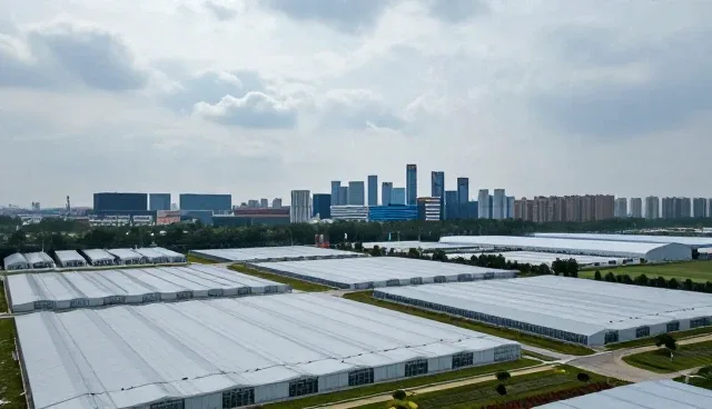 视觉传达在活动策划中的常见问题与应对策略