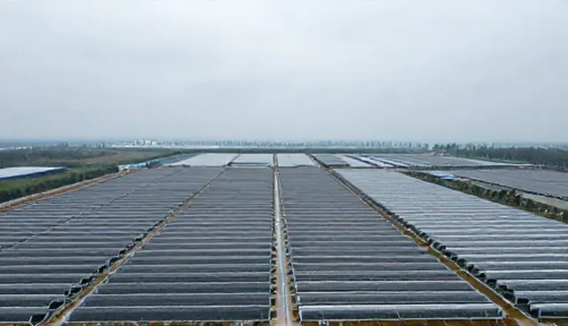 公众号在企业网络工程中的实际应用与场景分析