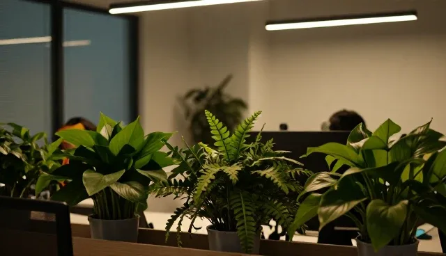 服务器性能与适用条件的关联性分析