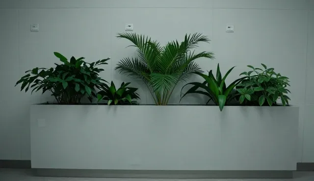 慢病管理服务的使用与维护策略