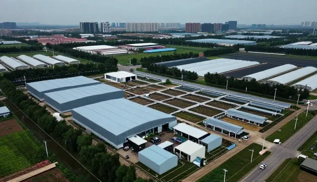 技术驱动下的行业应用创新与实践