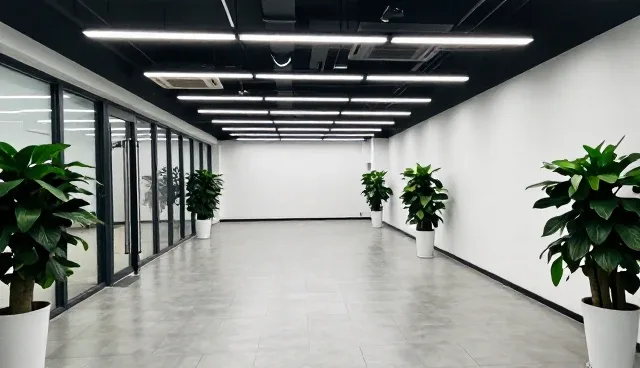 康复指导中的医疗技术服务应用难题