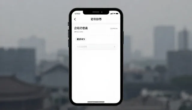 古玩交易中API接口使用问题及解决方案