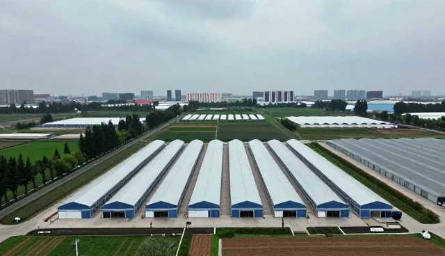 会务服务流程优化方案：常见问题与应对策略