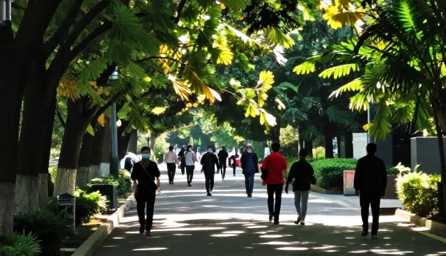 旅游咨询业务如何借势趋势实现价值升级
