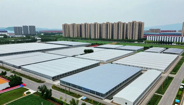 食品研发定制如何精准对接多样化需求
