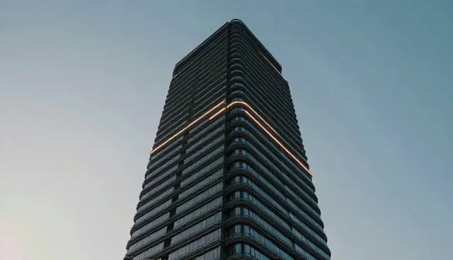 种植技术指导如何提升农产品销售效果