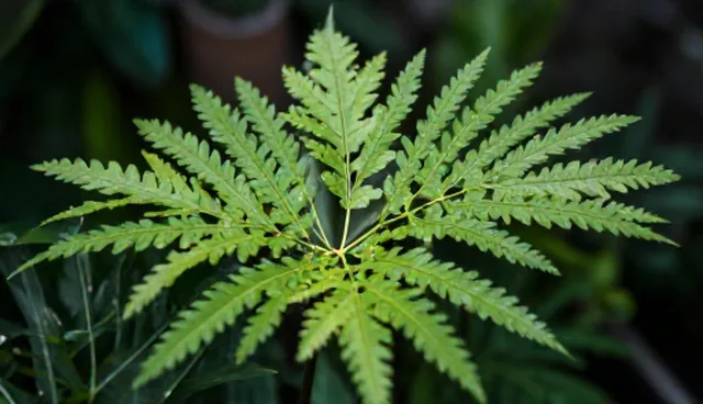 门诊服务体验优化：如何提升患者满意度