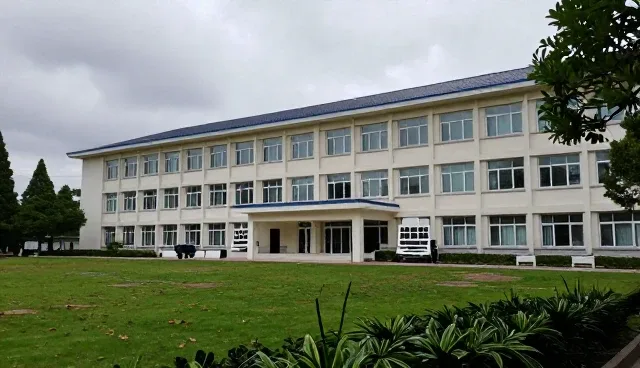 助剂供应中的安全规范实践与应用场景分析