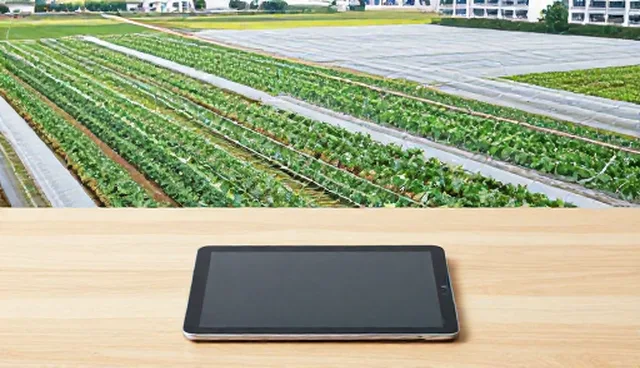 企业技术选型与维护建议：保障业务高效运行