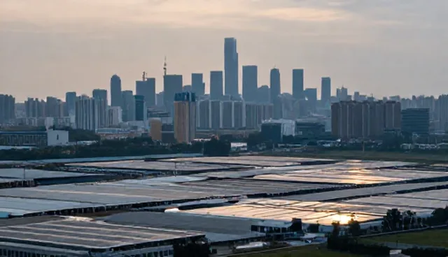 技术支持中的常见问题及性能与适用条件建议
