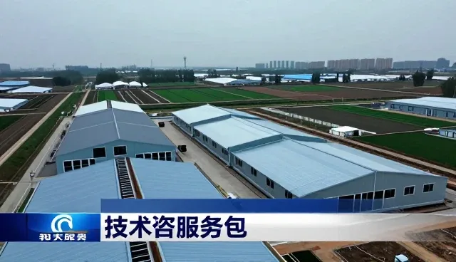 系统集成中的稳定性提升：技术研究与应用场景分析