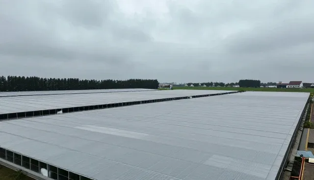 仓储配送质量控制：人工与自动化方案比较