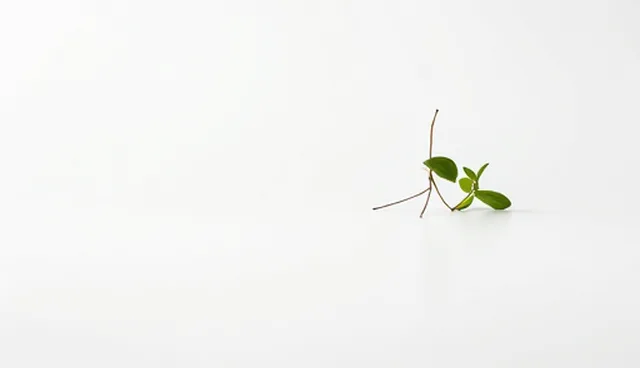 制造业种植环境选型中的关键考量因素