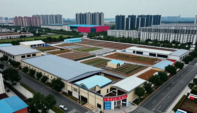 技术培训如何助力企业实现技术转化方案
