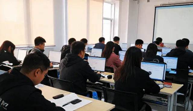 内训中常见问题与应对策略：提升人才培养效率的关键