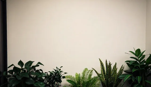 标准化装卸服务如何提升物流效率