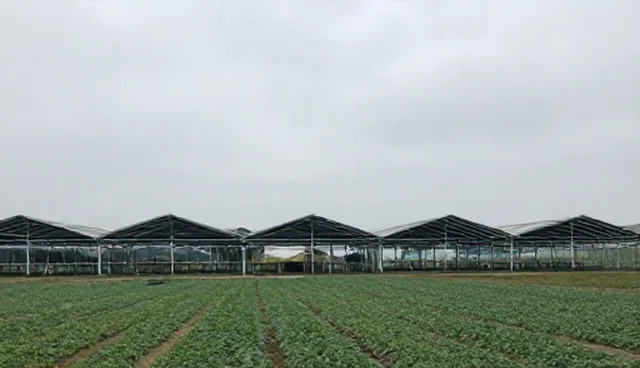 技术成果转化中培训体系构建的常见问题与解决策略