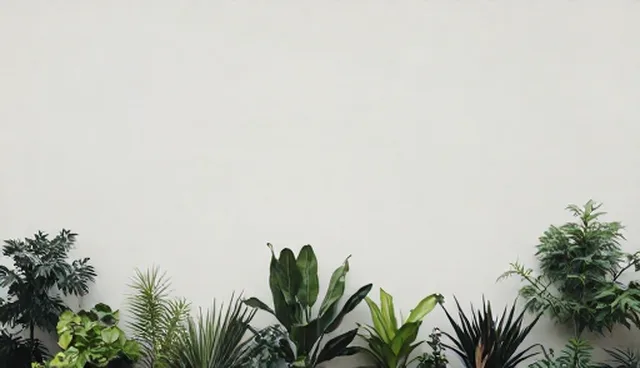 技术开发在产品转化率提升中的实际应用问题