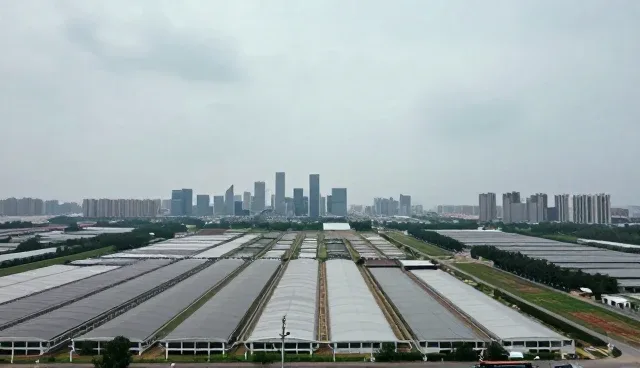 宣传片制作中传播效率提升的关键要素分析
