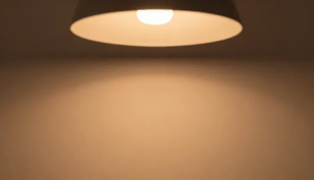 提升种苗成活率的技术要点解析
