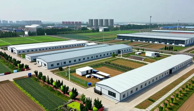 年检代办业务在运营管理中的关键作用