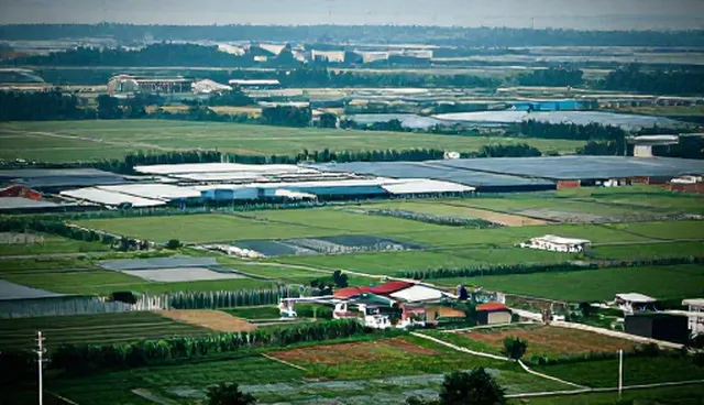 适用边界：企业信息化方案在维护中的性能影响因素