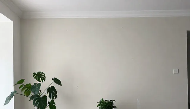 视频剪辑在用户互动中的适用条件与选择依据