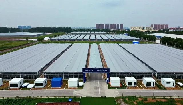同城配送系统稳定性提升的关键路径与实践