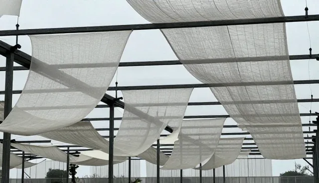 空间布局如何影响整体软装选型决策