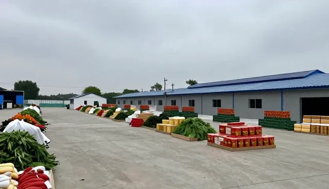 种苗供应中常见问题及有效应对策略