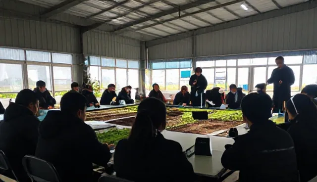 种植技术指导在作业效率提升中的应用场景分析