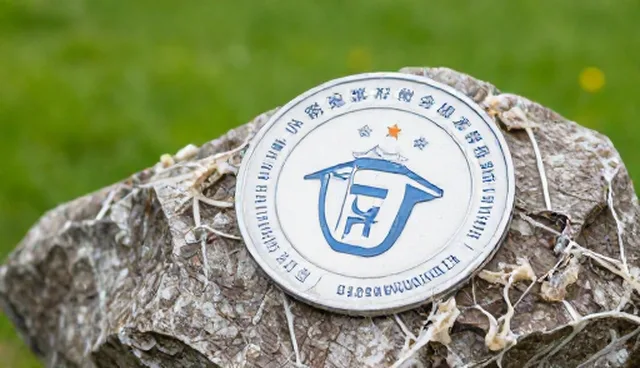 网络完善为什么总遇阻？如何解决实际问题？