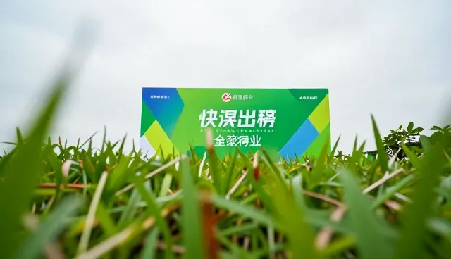 活动策划中广告设计的性能表现与适用场景分析