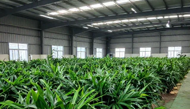 用户互动：短视频运营中的网络技术性能分析