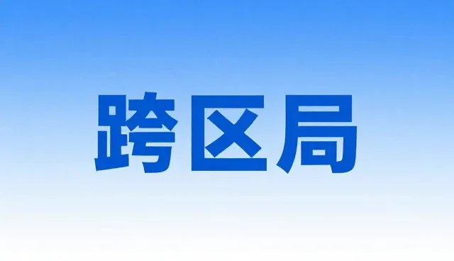网络环境下域名管理的硬件配置优化策略
