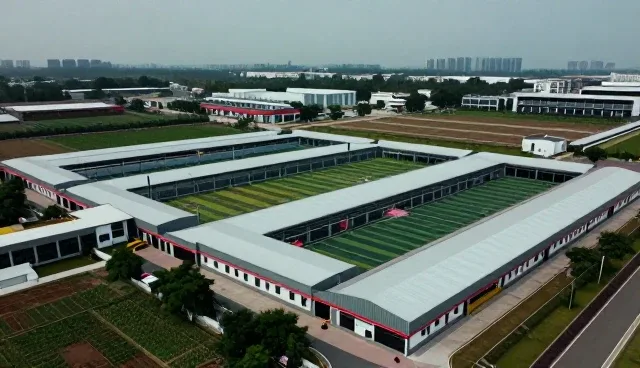 业务流程优化在技术咨询中的实践与应用