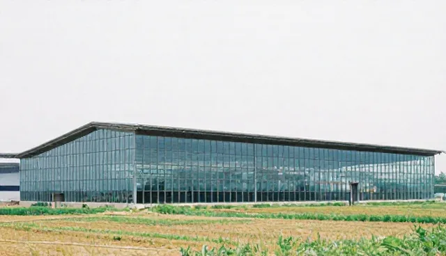 供应链服务选型建议：仓储配送优化策略