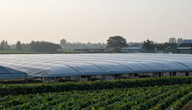 短视频营销套餐：不同规模企业如何选择投资回报最高的方案