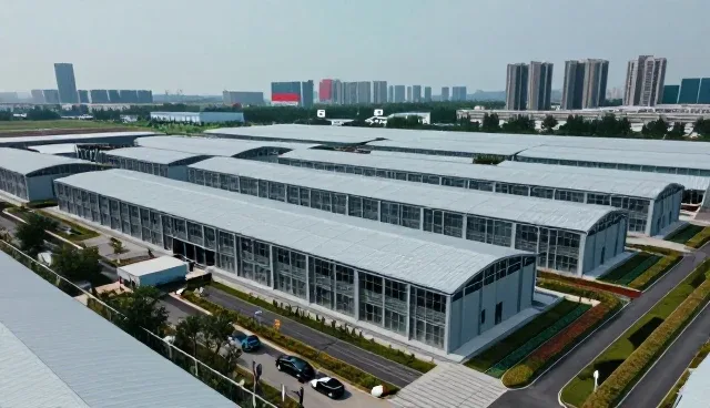 代码重构中的常见问题及有效应对策略