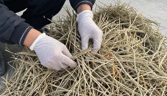土壤管理对农产品收购价格的影响误区