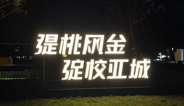 内容创意在影视策划中的性能表现与适用场景分析