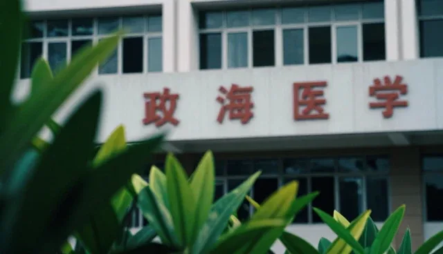短视频拍摄项目执行的优化路径与趋势分析
