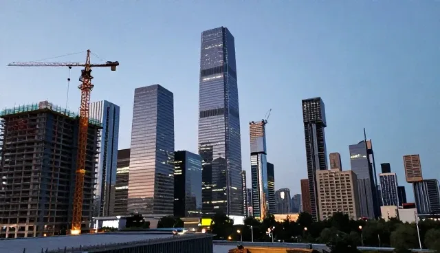 技术开发适用条件与系统优化限制分析