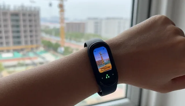 智能手环在电商销售中的性能表现与适用场景分析