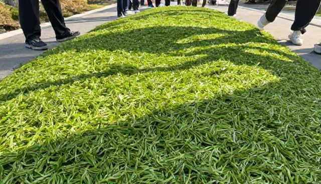 餐饮场景中食品加工温度控制的误区澄清